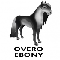 Overo Ebony