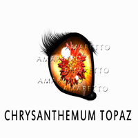 Chrysanthemum Topaz November 1- November 30