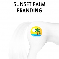 Sunset Palm Branding