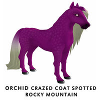 Orchid Crazed Coat Spotted Rocky Mountain