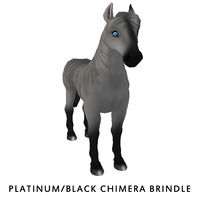 Platinum/Black Chimera Brindle