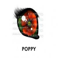 Poppy