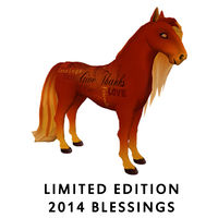 2014 Limited Edition Blessingss