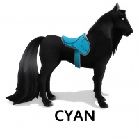 Saddle Cyan