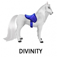 Divinity Saddle