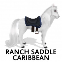 Ranch Saddle Caribbean