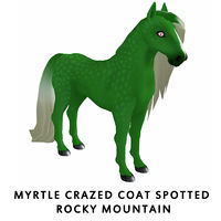 Myrtle Crazed Coat Spotted Rocky Mountain