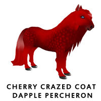 Cherry Crazed Coat Dapple Percheron