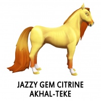 Jazzy Gem - Citrine Akhal-Teke