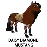 Daisy Diamond Mustang