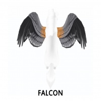 Falcon