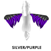 Silver/Purple