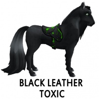 Black Leather Toxic