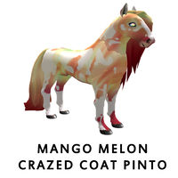 Mango Melon Crazed Coat Pinto