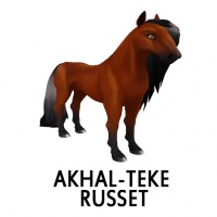 Akhal-Teke Russet