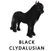 Black Clydalusian