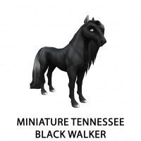 Miniature Tennessee Black Walker