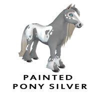 Painted Pony Silver