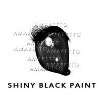 Shiny Black Paint