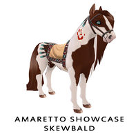 Amaretto Showcase Skewbald