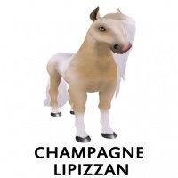 Champagne Lipizzan