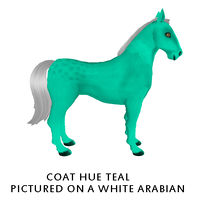 Coat Hue Teal