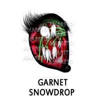 Garnet Snowdrop