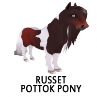 Russet Pottok Pony