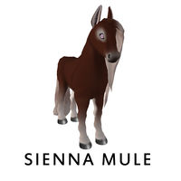 Sienna Mule