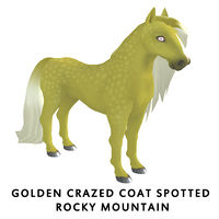 Golden Crazed Coat Spotted Rocky Mountain