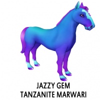 Jazzy Gem - Tanzanite Marwari