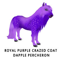 Royal Purple Crazed Coat Dapple Percheron