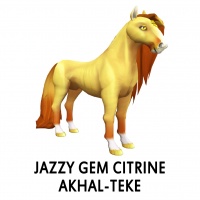 Jazzy Gem - Citrine Akhal-Teke