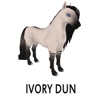 Ivory Dun