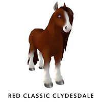 Red Classic Clydesdale