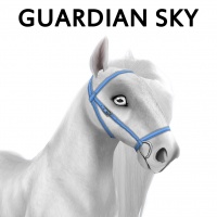 Guardian Sky Bridle