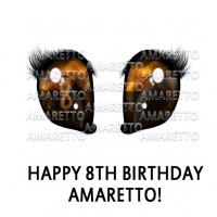 Happy 8th Birthday Amaretto!