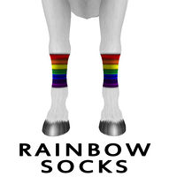 Rainbow Socks