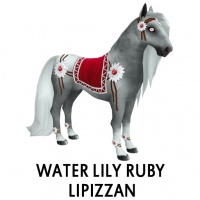 Water Lily Ruby Lipizzan