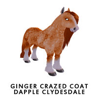 Ginger Crazed Coat Dapple Clydesdale