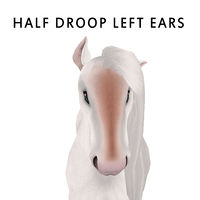 Half Droop Left Ears