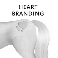 Heart Branding