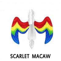 Scarlet Macaw