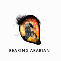 Rearing Arabian Eyes