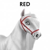 Red Bridle