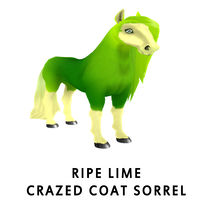 Ripe Lime Crazed Coat Sorrel