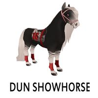 Dun Showhorse