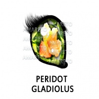 Peridot Gladiolus