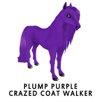 Plump Purple Crazed Coat Walker