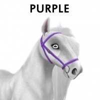 Purple Bridle